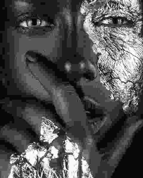 Willow Tree Willow Tree